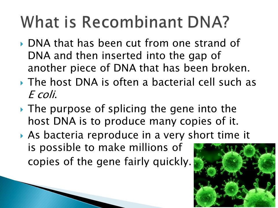  DNA that has been cut from one strand of DNA and then inserted into the gap of another piece of DNA that has been broken.