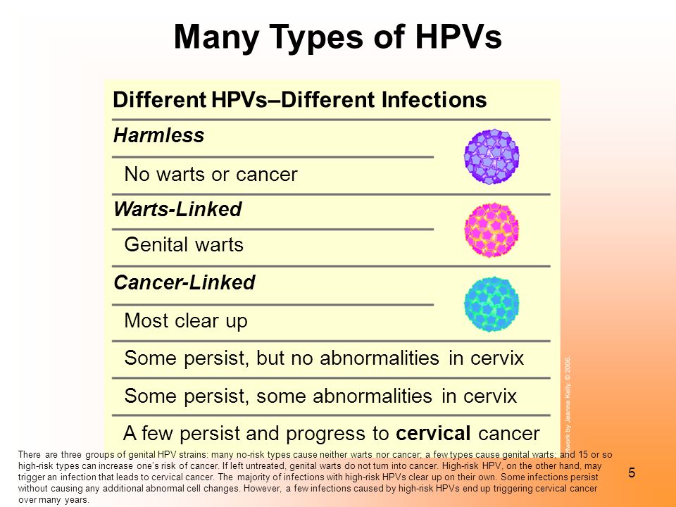 Hpv without warts