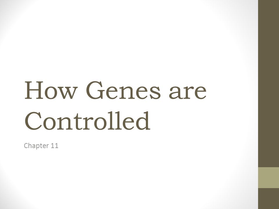 How Genes are Controlled Chapter 11