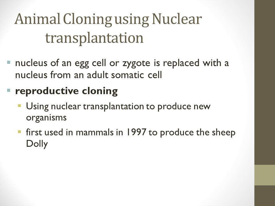 Animal Cloning using Nuclear transplantation  nucleus of an egg cell or zygote is replaced with a nucleus from an adult somatic cell  reproductive cloning  Using nuclear transplantation to produce new organisms  first used in mammals in 1997 to produce the sheep Dolly