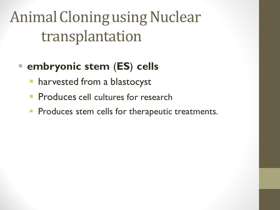 Animal Cloning using Nuclear transplantation  embryonic stem (ES) cells  harvested from a blastocyst  Produces cell cultures for research  Produces stem cells for therapeutic treatments.