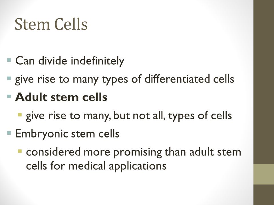 Stem Cells  Can divide indefinitely  give rise to many types of differentiated cells  Adult stem cells  give rise to many, but not all, types of cells  Embryonic stem cells  considered more promising than adult stem cells for medical applications