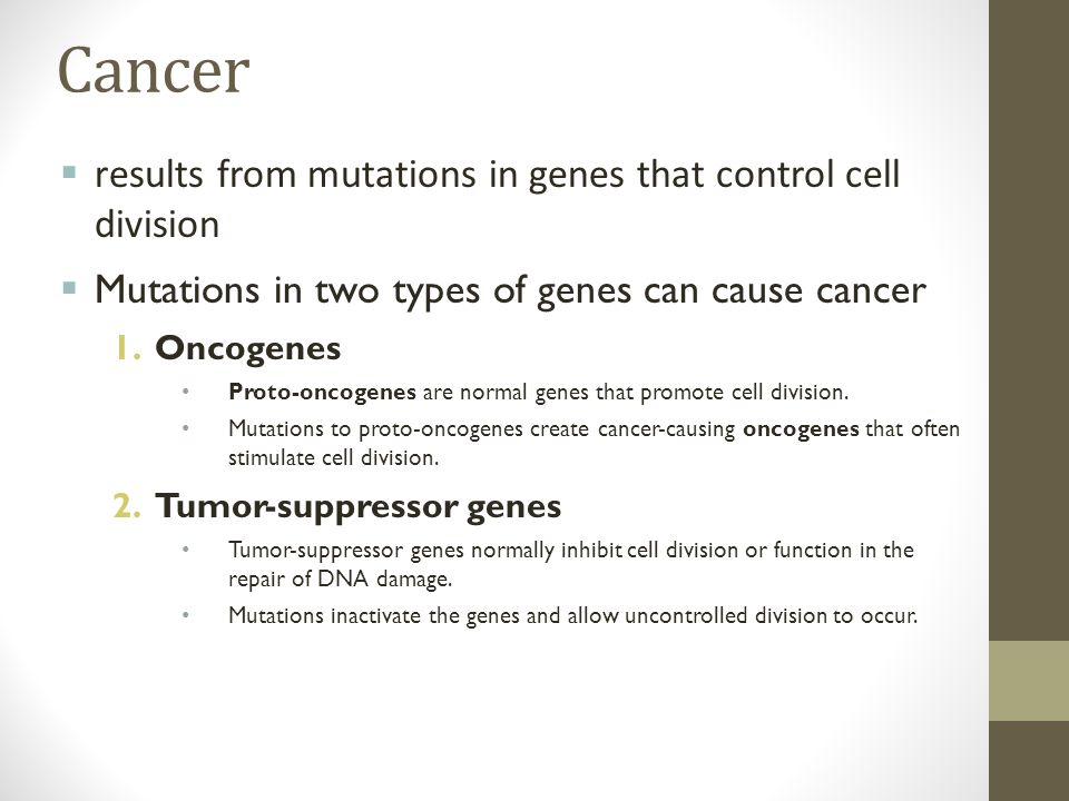 Cancer  results from mutations in genes that control cell division  Mutations in two types of genes can cause cancer 1.Oncogenes Proto-oncogenes are normal genes that promote cell division.