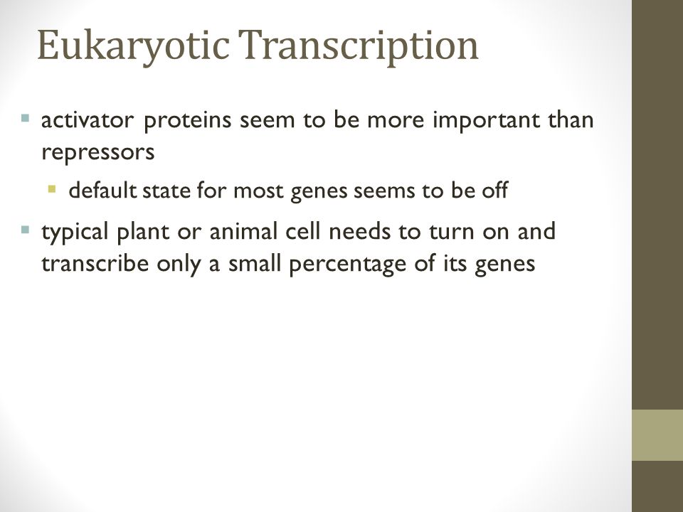Eukaryotic Transcription  activator proteins seem to be more important than repressors  default state for most genes seems to be off  typical plant or animal cell needs to turn on and transcribe only a small percentage of its genes