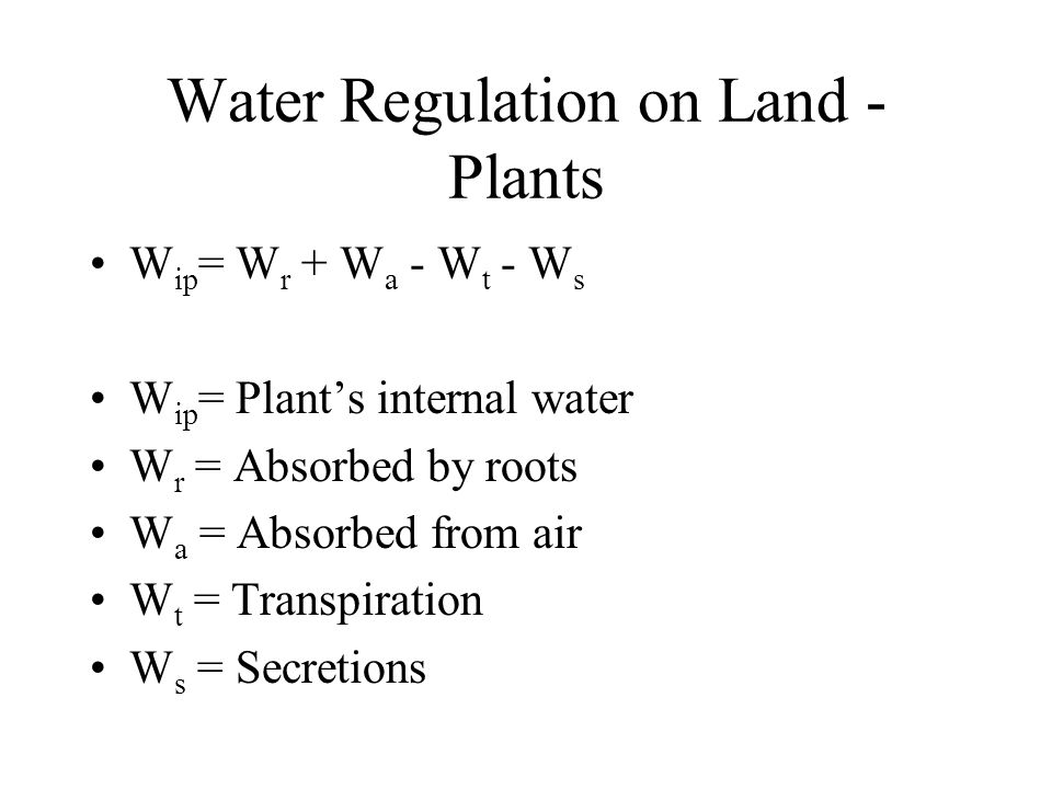 Water Regulation on Land - Plants W ip = W r + W a - W t - W s W ip = Plant’s internal water W r = Absorbed by roots W a = Absorbed from air W t = Transpiration W s = Secretions