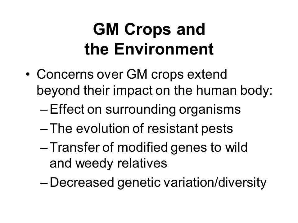 GM Crops and the Environment Concerns over GM crops extend beyond their impact on the human body: –Effect on surrounding organisms –The evolution of resistant pests –Transfer of modified genes to wild and weedy relatives –Decreased genetic variation/diversity