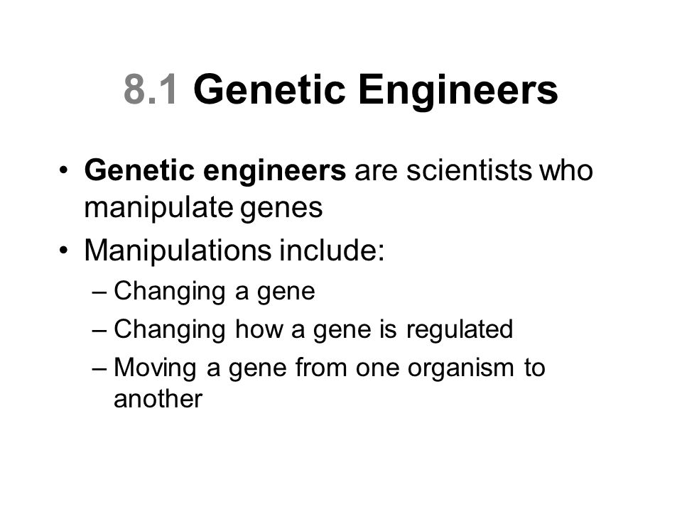 8.1 Genetic Engineers Genetic engineers are scientists who manipulate genes Manipulations include: –Changing a gene –Changing how a gene is regulated –Moving a gene from one organism to another
