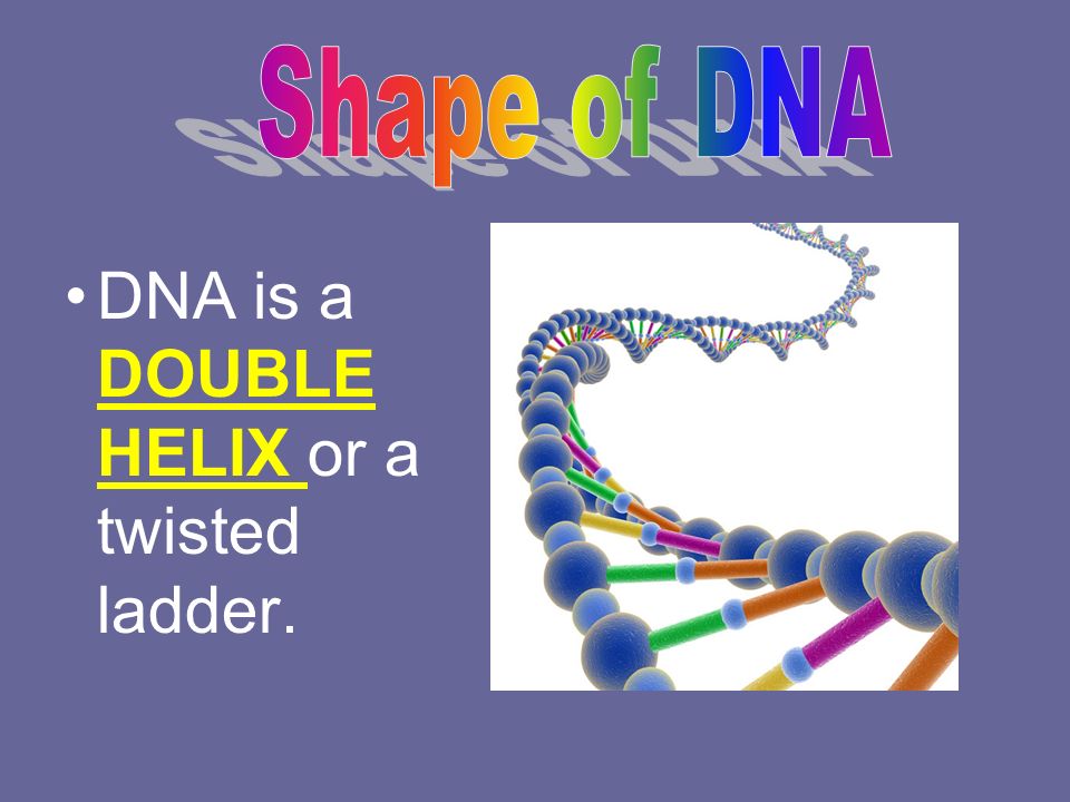 What is DNA? Nov. 5, Warm up: 1. What is DNA? 2. Why do we need to learn about it? Your answers should be on the notes page. You have one minute. - ppt download