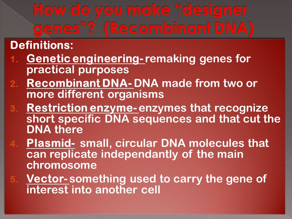 Definitions: 1. Genetic engineering- remaking genes for practical purposes 2.