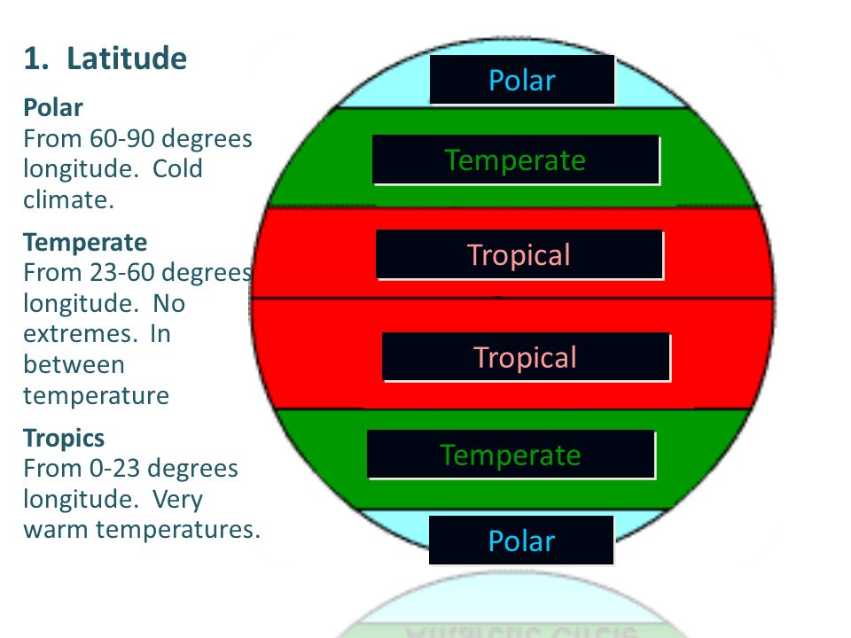 Polar Temperate Polar Temperate Tropical 1. Latitude Polar From degrees longitude.