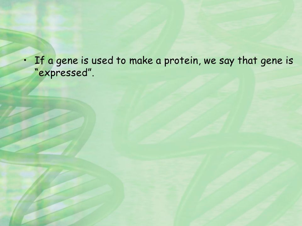 If a gene is used to make a protein, we say that gene is expressed .