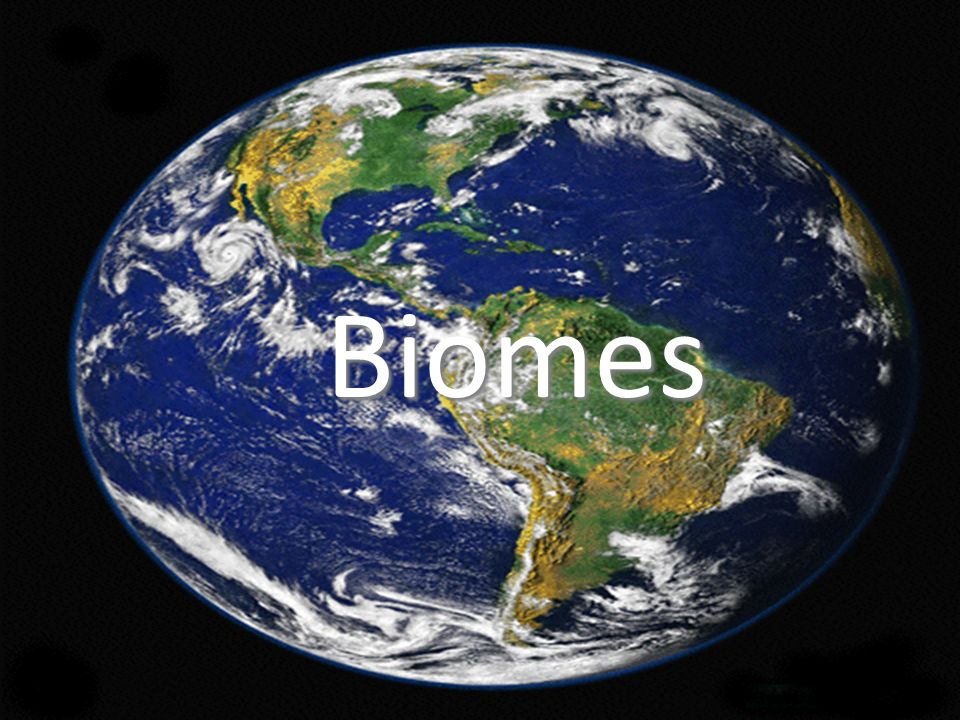 Biomes Biomes