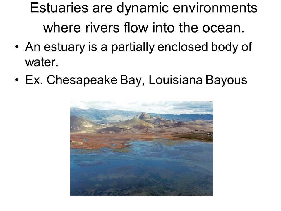 Estuaries are dynamic environments where rivers flow into the ocean.