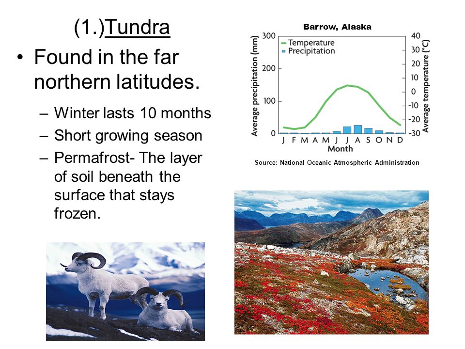 (1.)Tundra Found in the far northern latitudes.