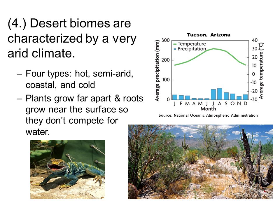 (4.) Desert biomes are characterized by a very arid climate.