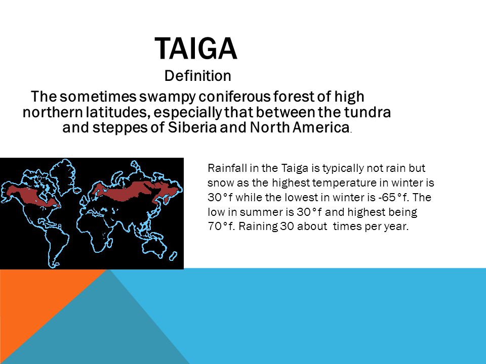 TAIGA Definition The sometimes swampy coniferous forest of high northern latitudes, especially that between the tundra and steppes of Siberia and North America.