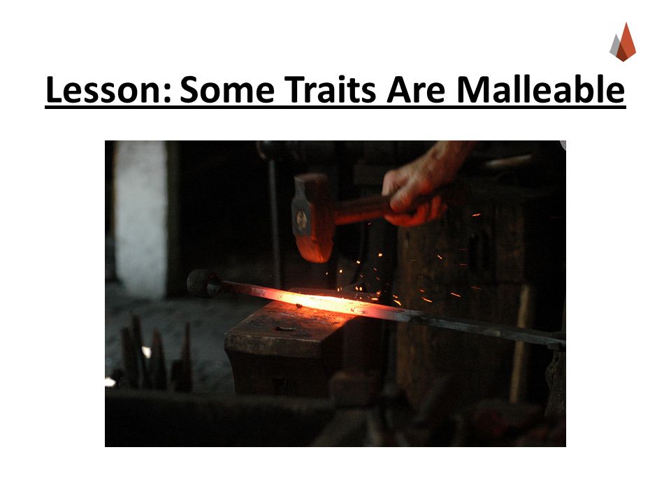 Lesson: Some Traits Are Malleable