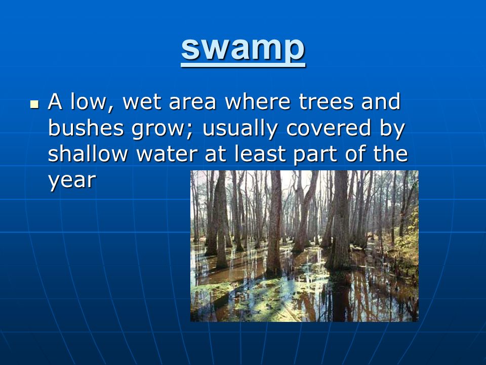 swamp A low, wet area where trees and bushes grow; usually covered by shallow water at least part of the year A low, wet area where trees and bushes grow; usually covered by shallow water at least part of the year