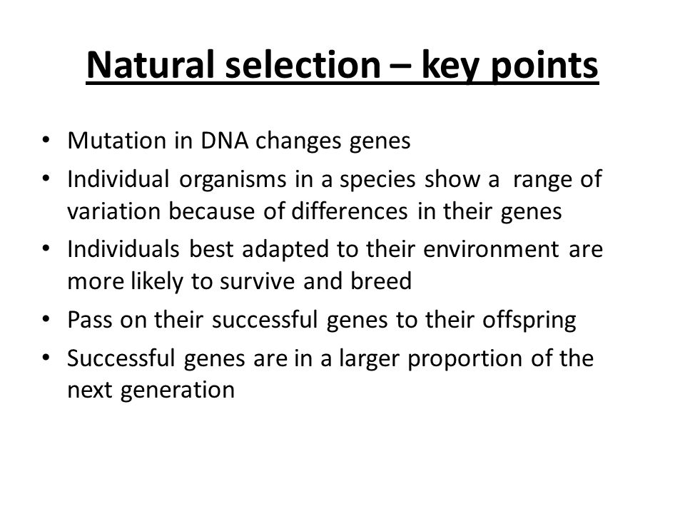 Syllabus content e) Evolution occurs via natural selection: □ individual  organisms within a particular species may show a wide range of variation  because. - ppt download