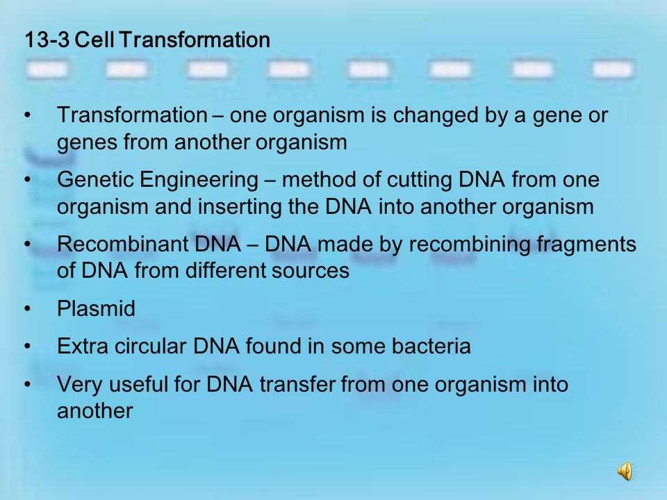 DNA heated to separate strands PCR cycles DNA copies etc.