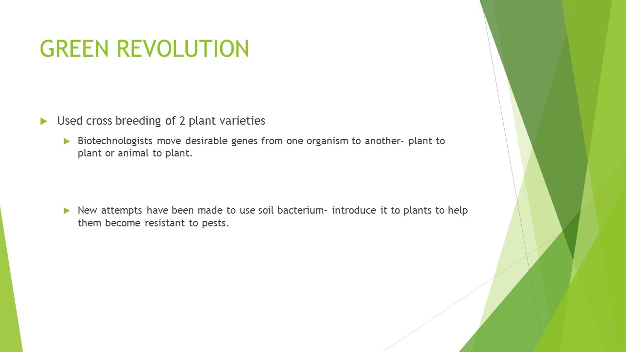 GREEN REVOLUTION  Used cross breeding of 2 plant varieties  Biotechnologists move desirable genes from one organism to another- plant to plant or animal to plant.