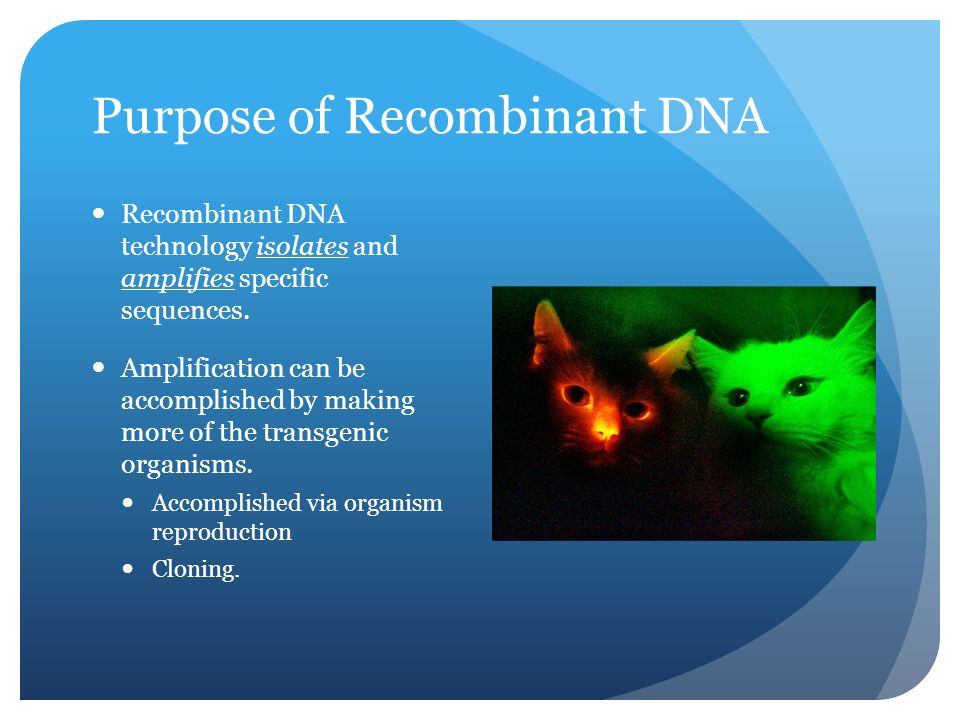 Purpose of Recombinant DNA Recombinant DNA technology isolates and amplifies specific sequences.