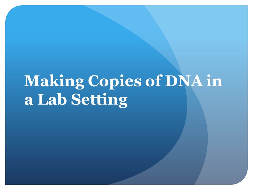 Making Copies of DNA in a Lab Setting