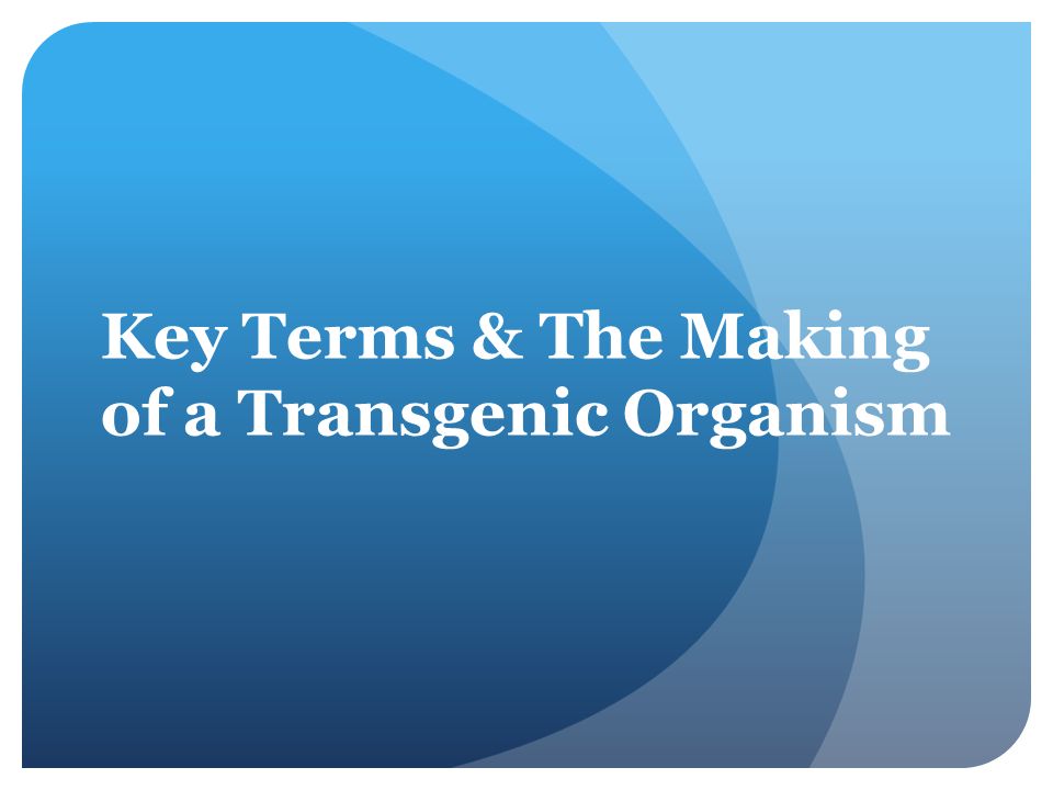 Key Terms & The Making of a Transgenic Organism