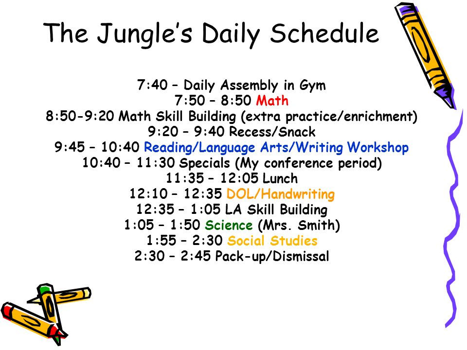 The Jungle’s Daily Schedule 7:40 – Daily Assembly in Gym 7:50 – 8:50 Math 8:50-9:20 Math Skill Building (extra practice/enrichment) 9:20 – 9:40 Recess/Snack 9:45 – 10:40 Reading/Language Arts/Writing Workshop 10:40 – 11:30 Specials (My conference period) 11:35 – 12:05 Lunch 12:10 – 12:35 DOL/Handwriting 12:35 – 1:05 LA Skill Building 1:05 – 1:50 Science (Mrs.