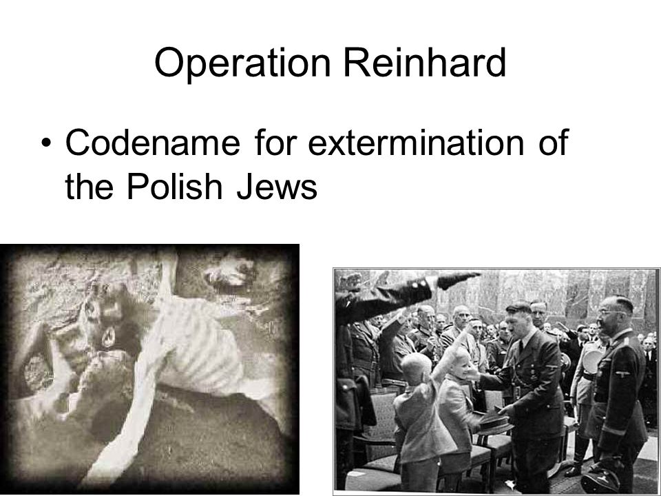 Operation Reinhard Codename for extermination of the Polish Jews