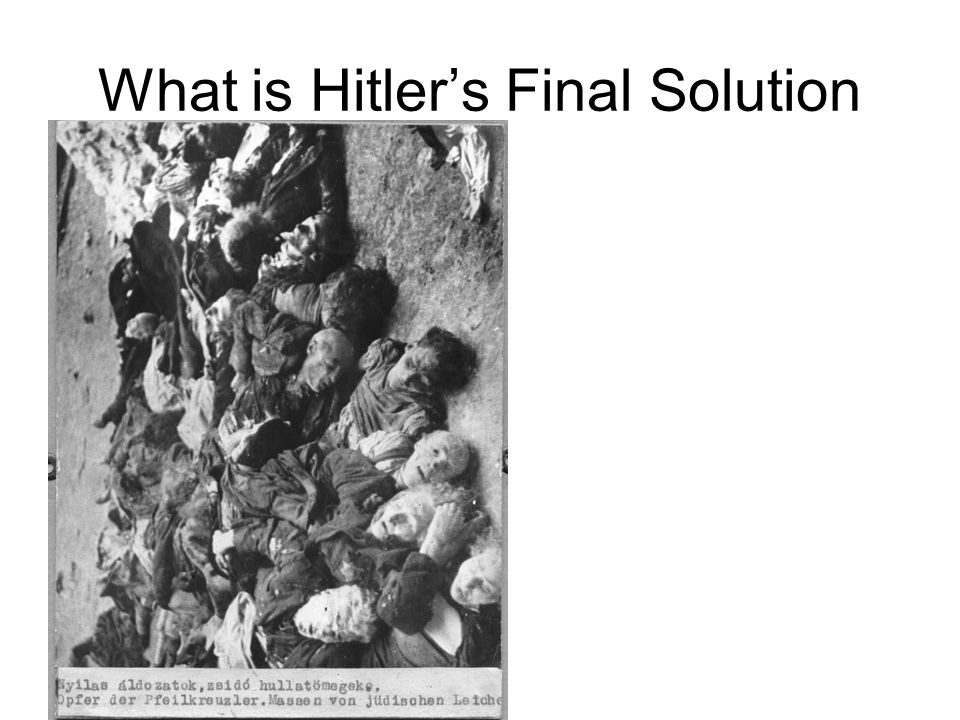 What is Hitler’s Final Solution