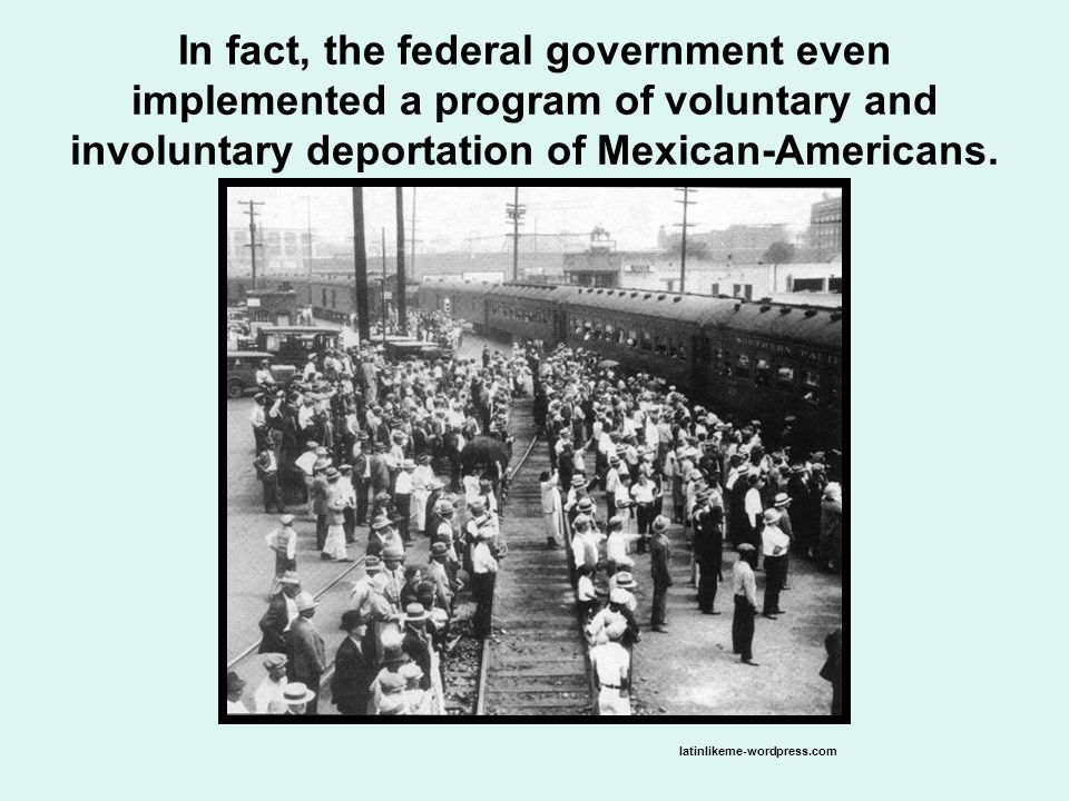 In fact, the federal government even implemented a program of voluntary and involuntary deportation of Mexican-Americans.