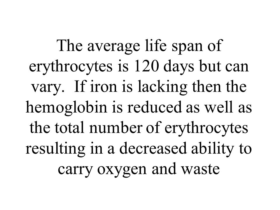 The average life span of erythrocytes is 120 days but can vary.