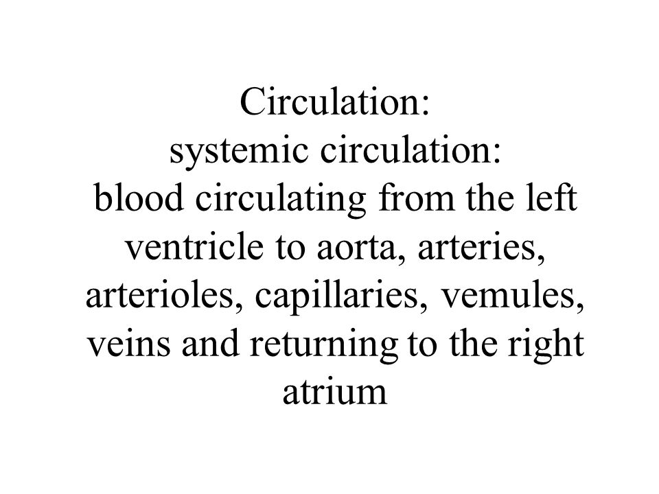 Circulation: systemic circulation: blood circulating from the left ventricle to aorta, arteries, arterioles, capillaries, vemules, veins and returning to the right atrium