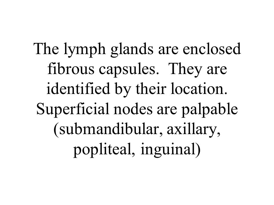 The lymph glands are enclosed fibrous capsules. They are identified by their location.