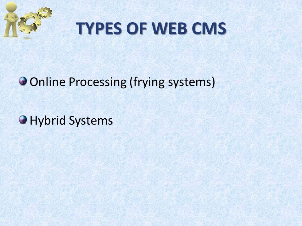 TYPES OF WEB CMS Online Processing (frying systems) Hybrid Systems