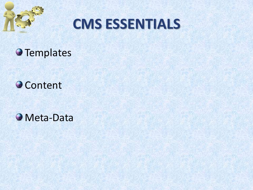 CMS ESSENTIALS Templates Content Meta-Data