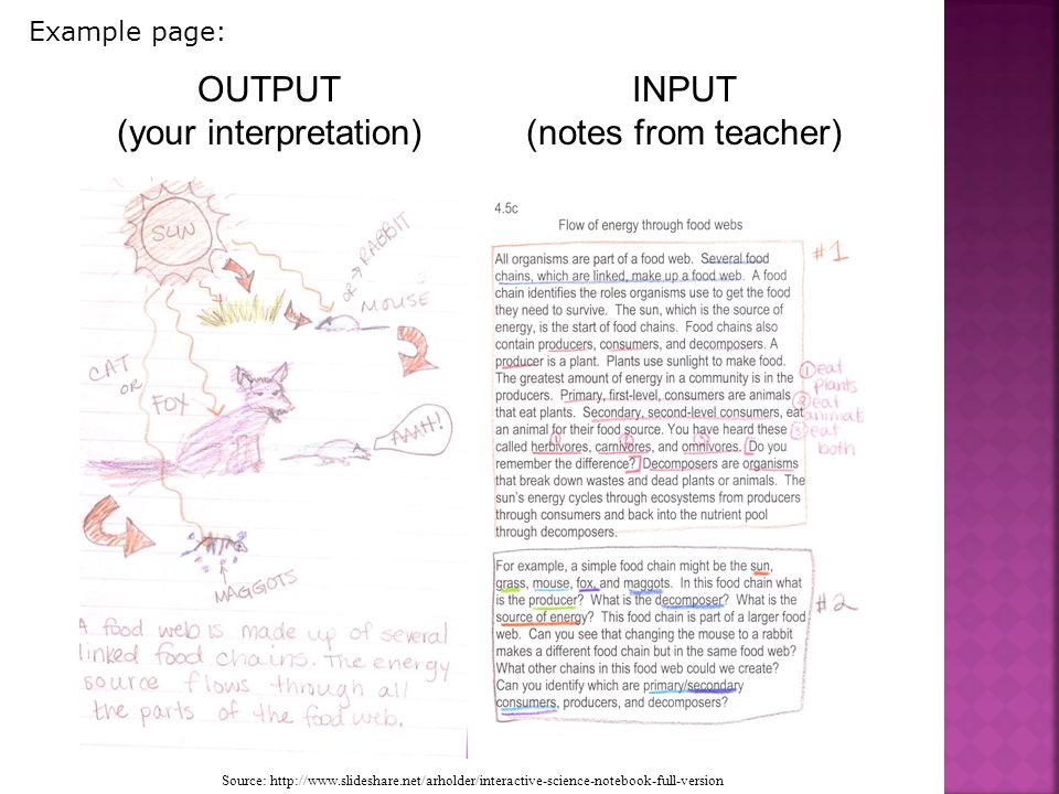 OUTPUT (your interpretation) INPUT (notes from teacher) Example page: Source: