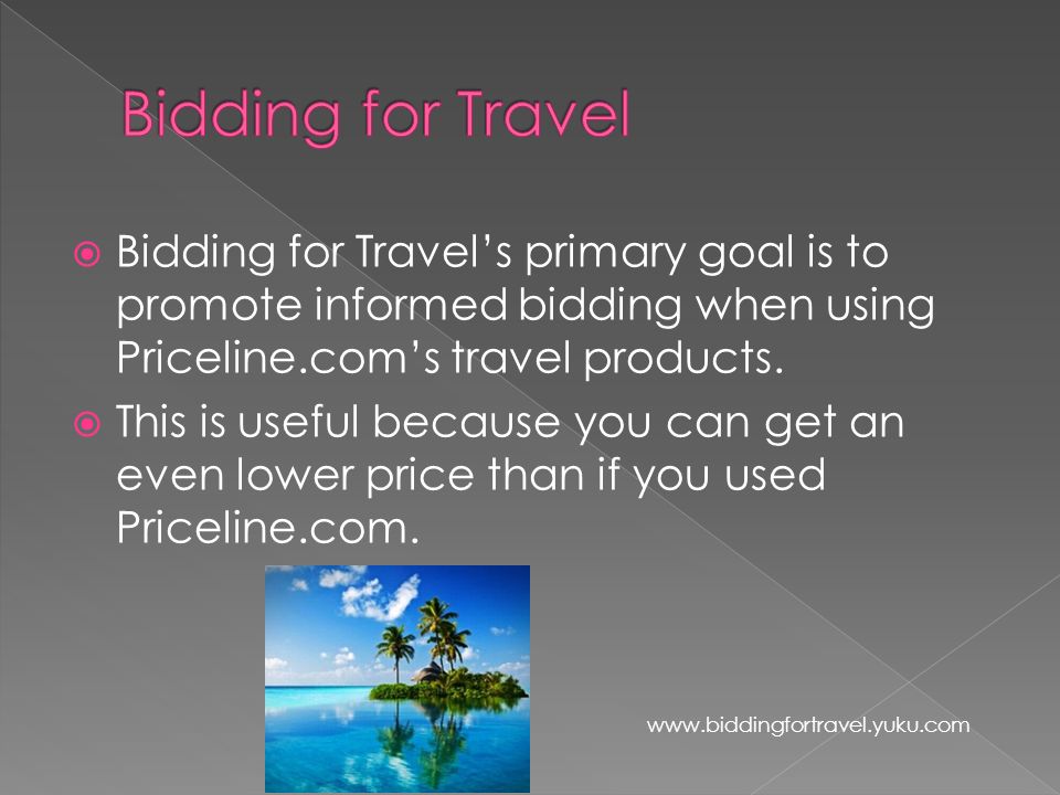  Bidding for Travel’s primary goal is to promote informed bidding when using Priceline.com’s travel products.