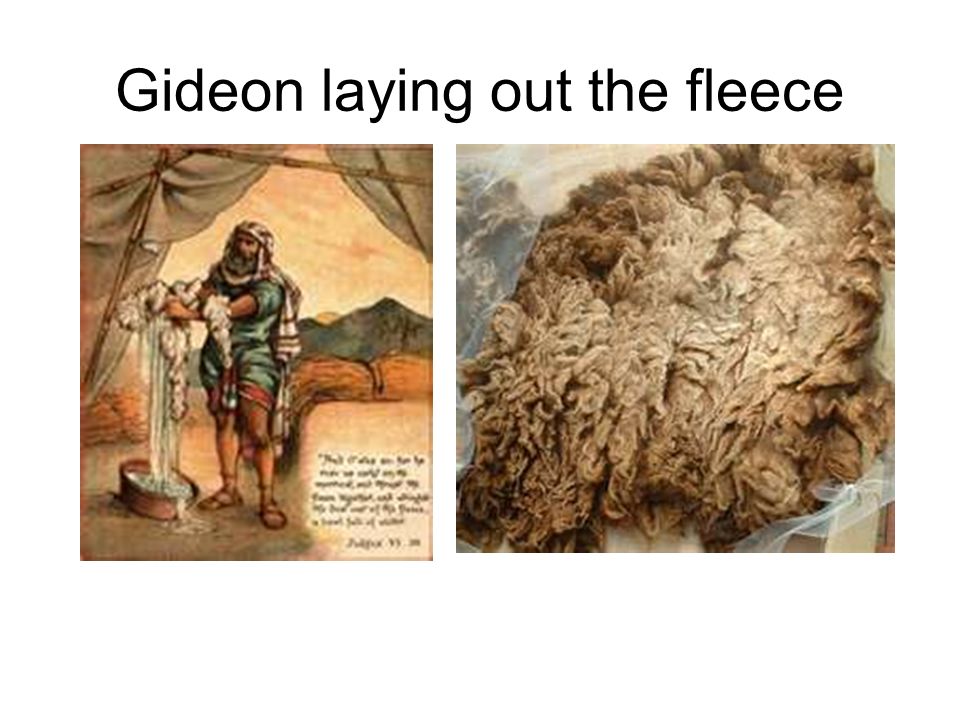 Gideon Lays Out Fleece Judges 6:33-40 Key Verse 6: ppt download