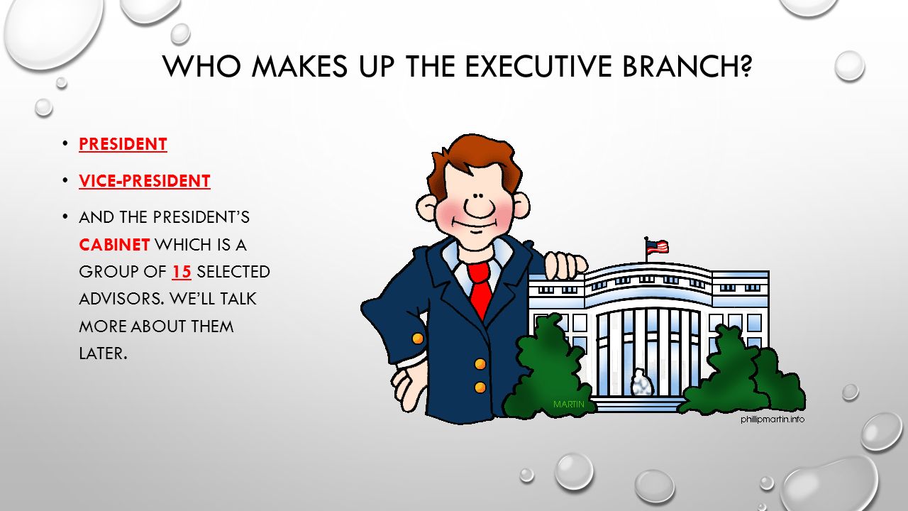 The Executive Branch What Does The Executive Branch Do Tell Me