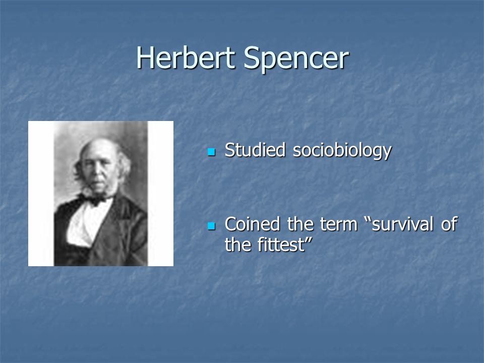 Herbert Spencer Studied sociobiology Studied sociobiology Coined the term survival of the fittest Coined the term survival of the fittest