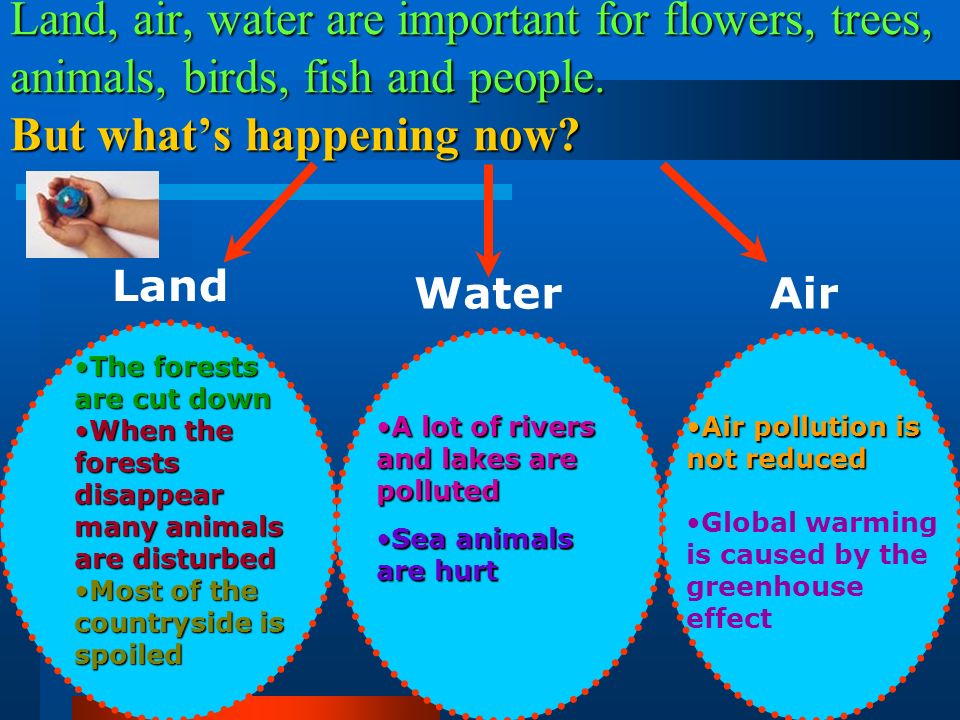 What are the names of the environmental problems of today.