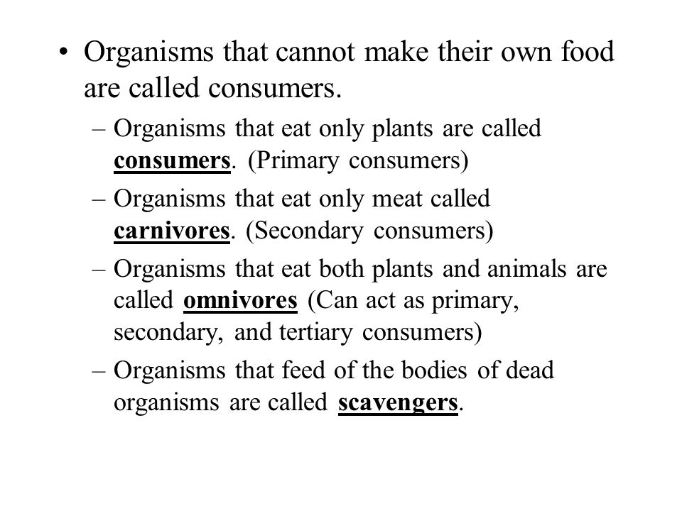 Roles of Living Things Chapter 4 Section 1. Organisms that make their own  food from inorganic molecules and energy are called producers. –Plants are  the. - ppt download