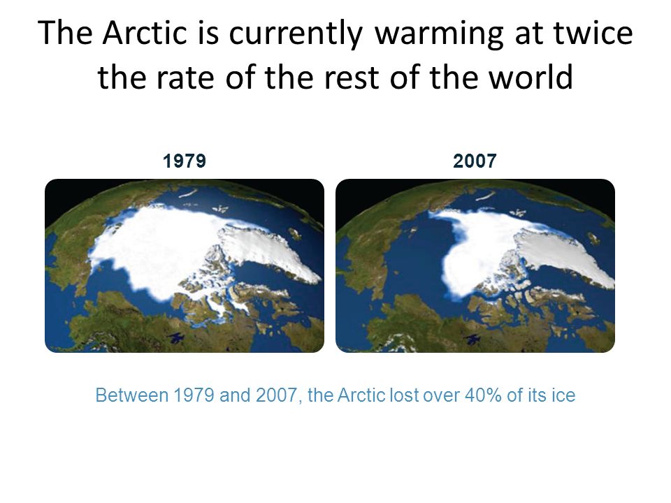 The Arctic is currently warming at twice the rate of the rest of the world Between 1979 and 2007, the Arctic lost over 40% of its ice