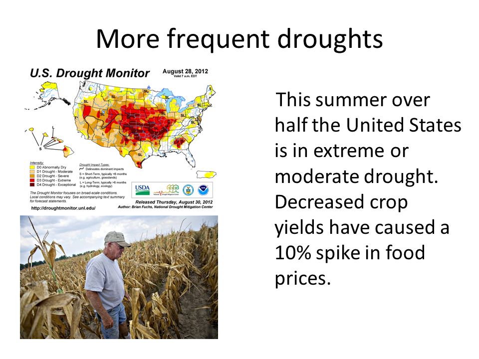 More frequent droughts This summer over half the United States is in extreme or moderate drought.