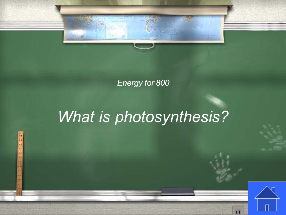 Energy for 800 This process uses the sun’s energy in plants to make food from carbon dioxide and water.
