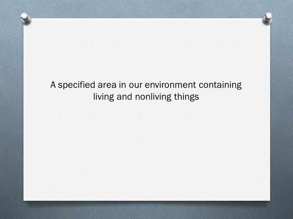 A specified area in our environment containing living and nonliving things