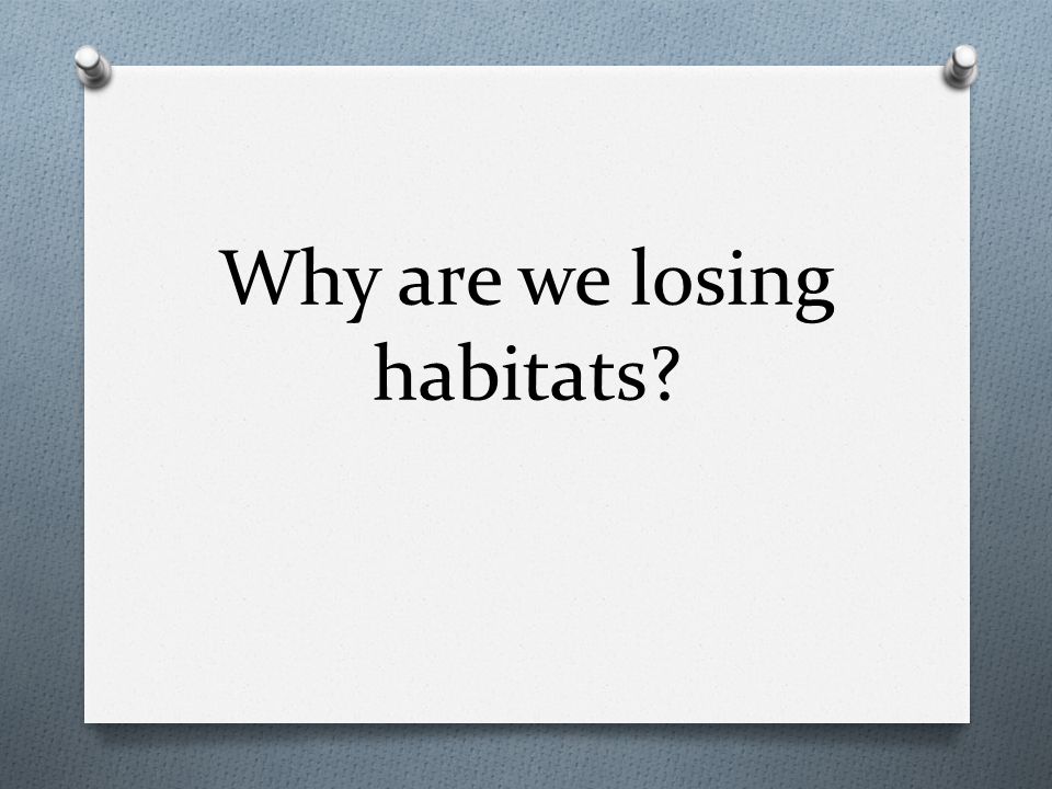 Why are we losing habitats