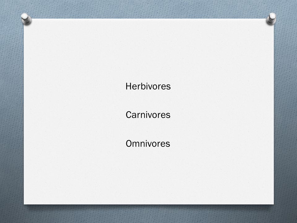 Herbivores Carnivores Omnivores